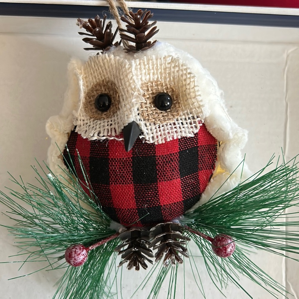 Christmas Owl w holly